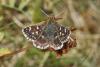 309569 – Photo : Thierry Madigou – France (39)